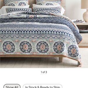 Pottery Barn Pia quilted king quilt and matching set of standard shams